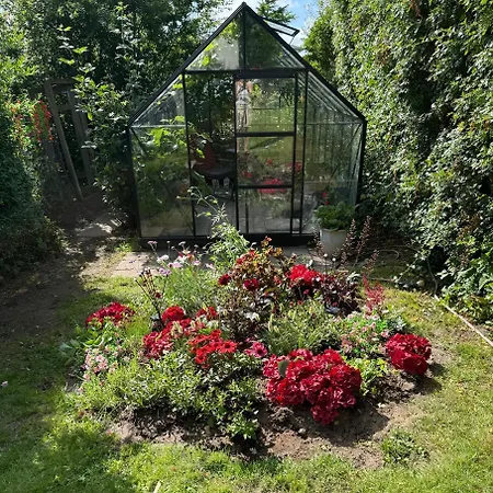 Homestay szállás Brondums