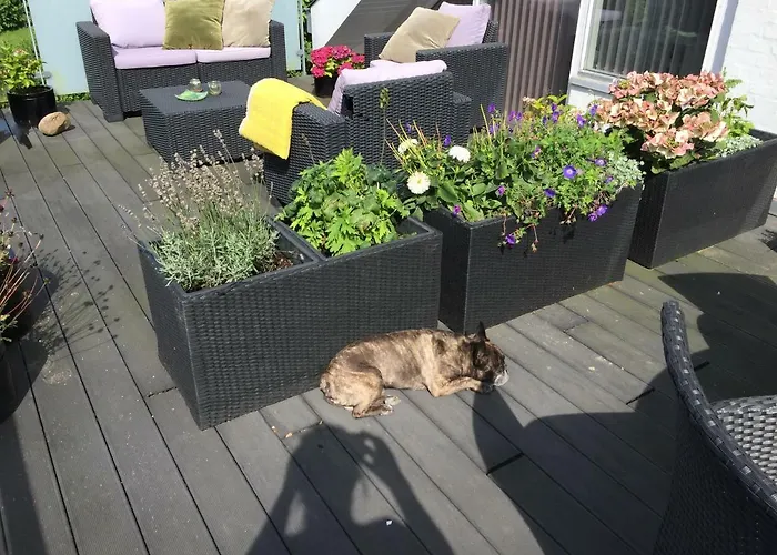 Brøndums Privatunterkunft